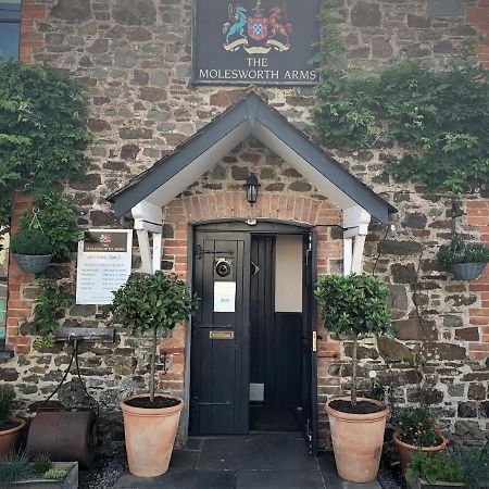 Molesworth Accommodation, Pyworthy, Devon ホルズワージー エクステリア 写真
