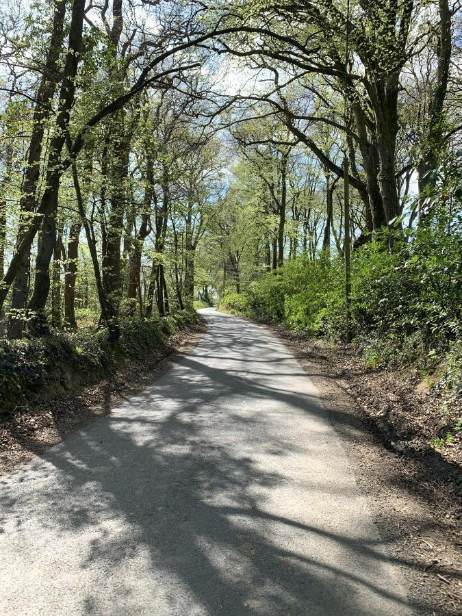 Molesworth Accommodation, Pyworthy, Devon ホルズワージー エクステリア 写真