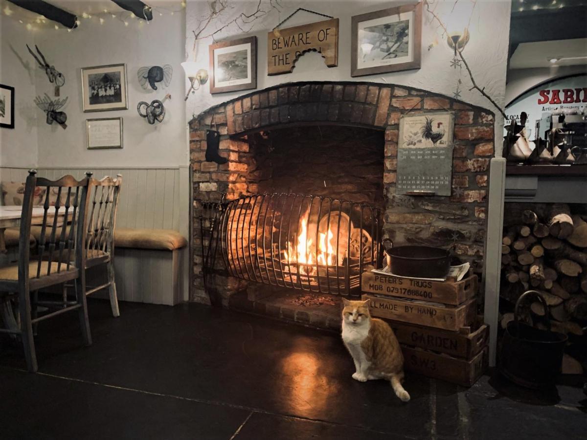 Molesworth Accommodation, Pyworthy, Devon ホルズワージー エクステリア 写真