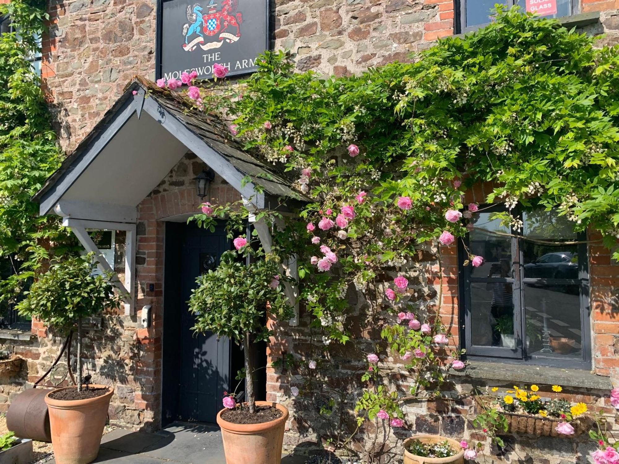 Molesworth Accommodation, Pyworthy, Devon ホルズワージー エクステリア 写真