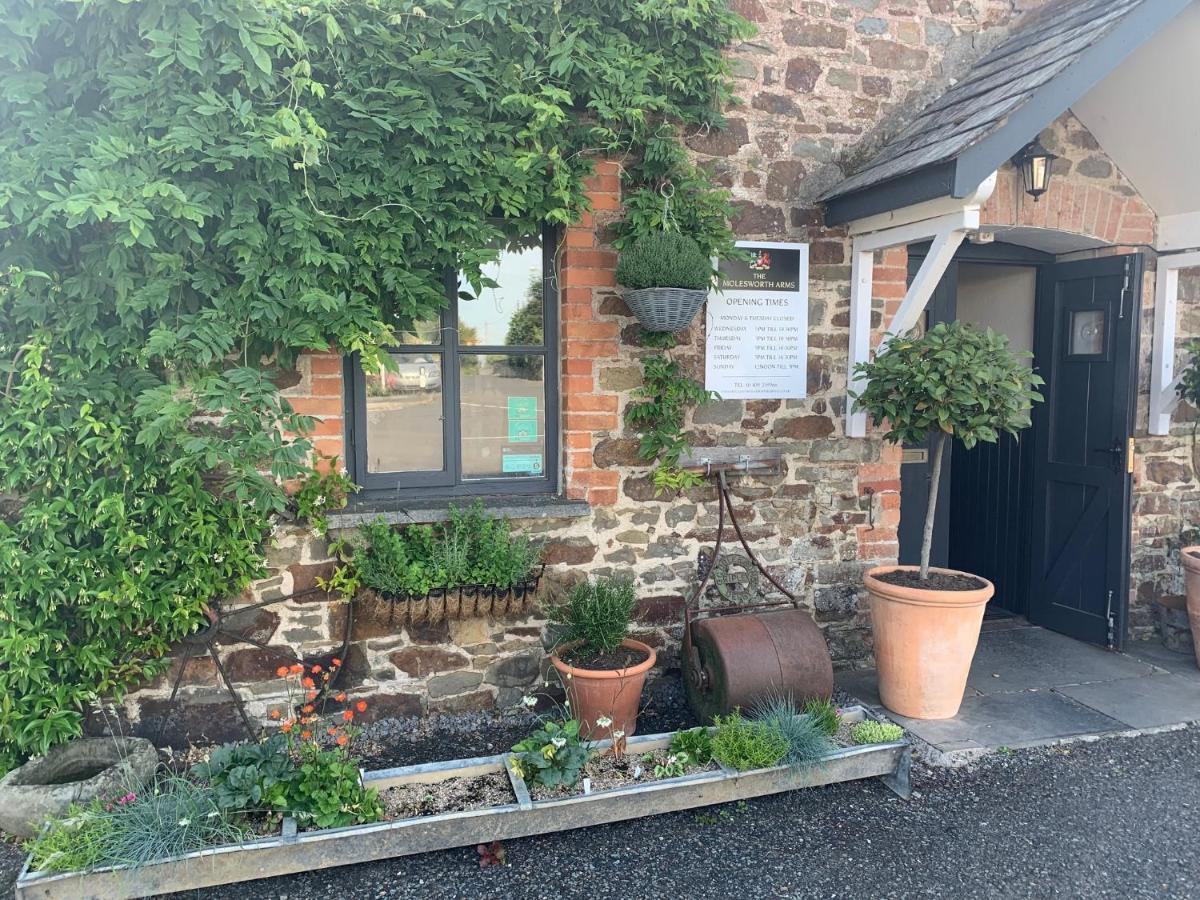 Molesworth Accommodation, Pyworthy, Devon ホルズワージー エクステリア 写真